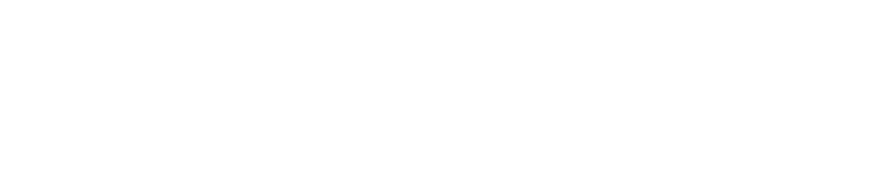Blind Low Vision NZ